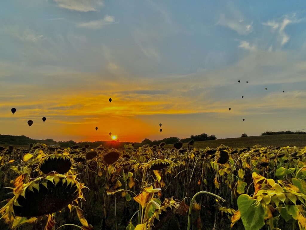 49ème Championnat de France de montgolfières 2023